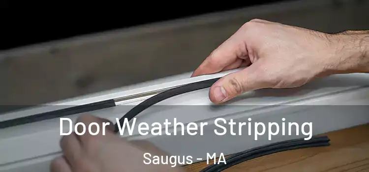  Door Weather Stripping Saugus - MA
