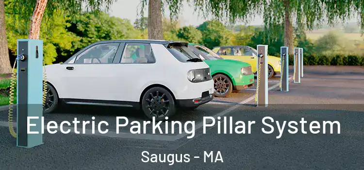  Electric Parking Pillar System Saugus - MA