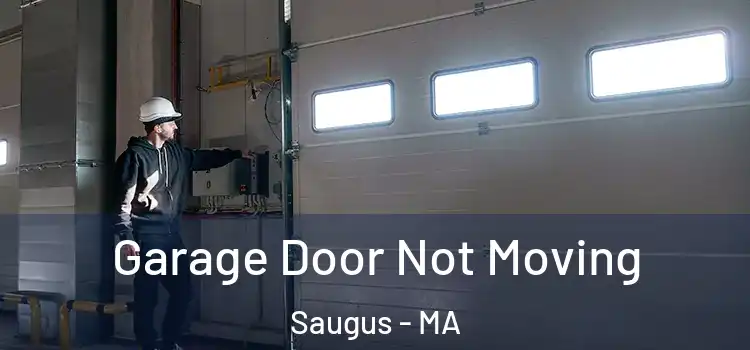  Garage Door Not Moving Saugus - MA