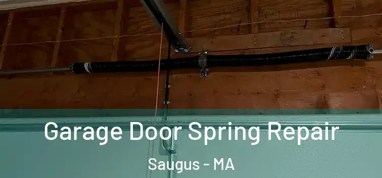  Garage Door Spring Repair Saugus - MA