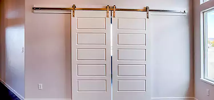 Glass Barn Door with Installation Hardware Kit Saugus