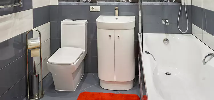 Hansgrohe Shaving Mirror Saugus