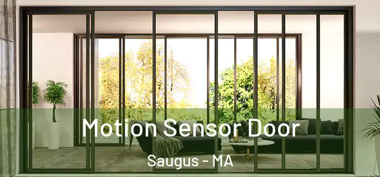  Motion Sensor Door Saugus - MA