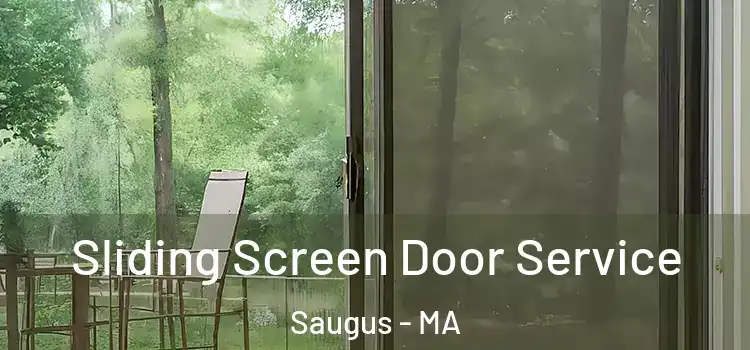  Sliding Screen Door Service Saugus - MA